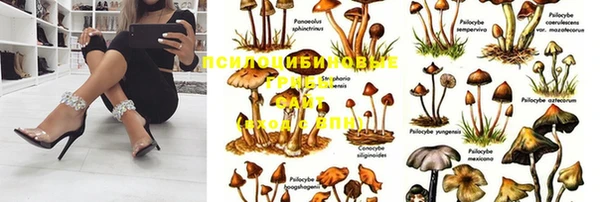 ГАЛЛЮЦИНОГЕННЫЕ ГРИБЫ Медногорск