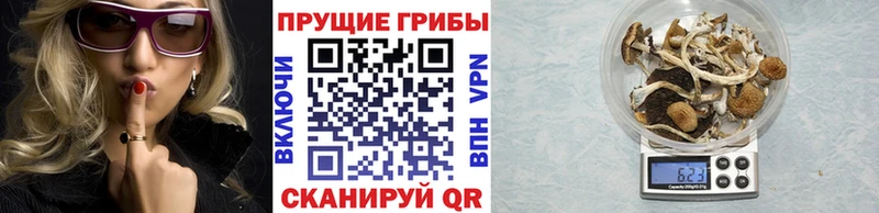 Псилоцибиновые грибы Magic Shrooms  Туран 